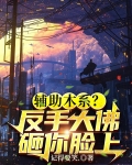 辅助木系反手大佛砸你471