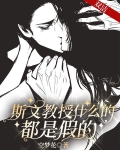 斯文教授什么的，都是假的