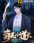 菊花小道长